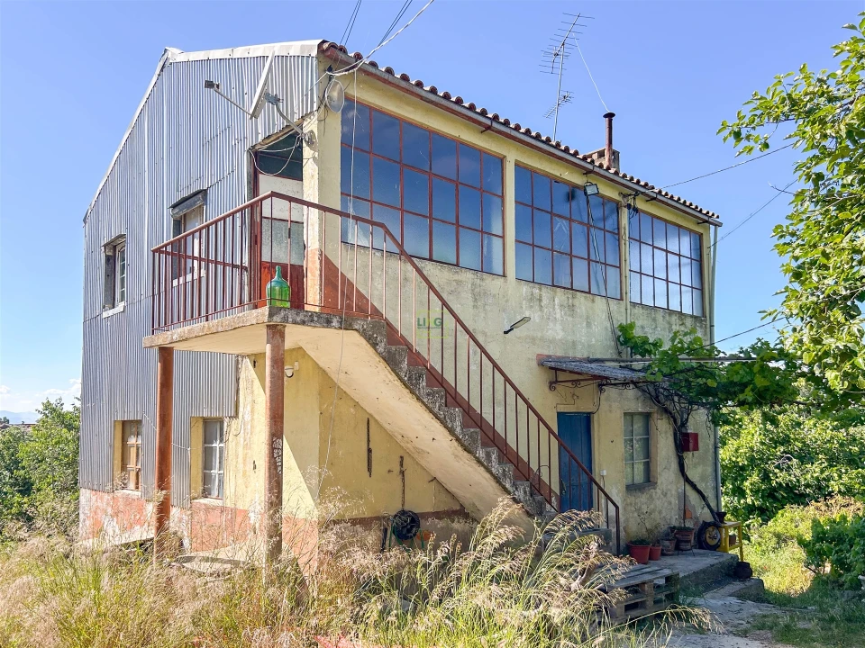 Quinta T3 para Venda em Castelo Branco Foto 71