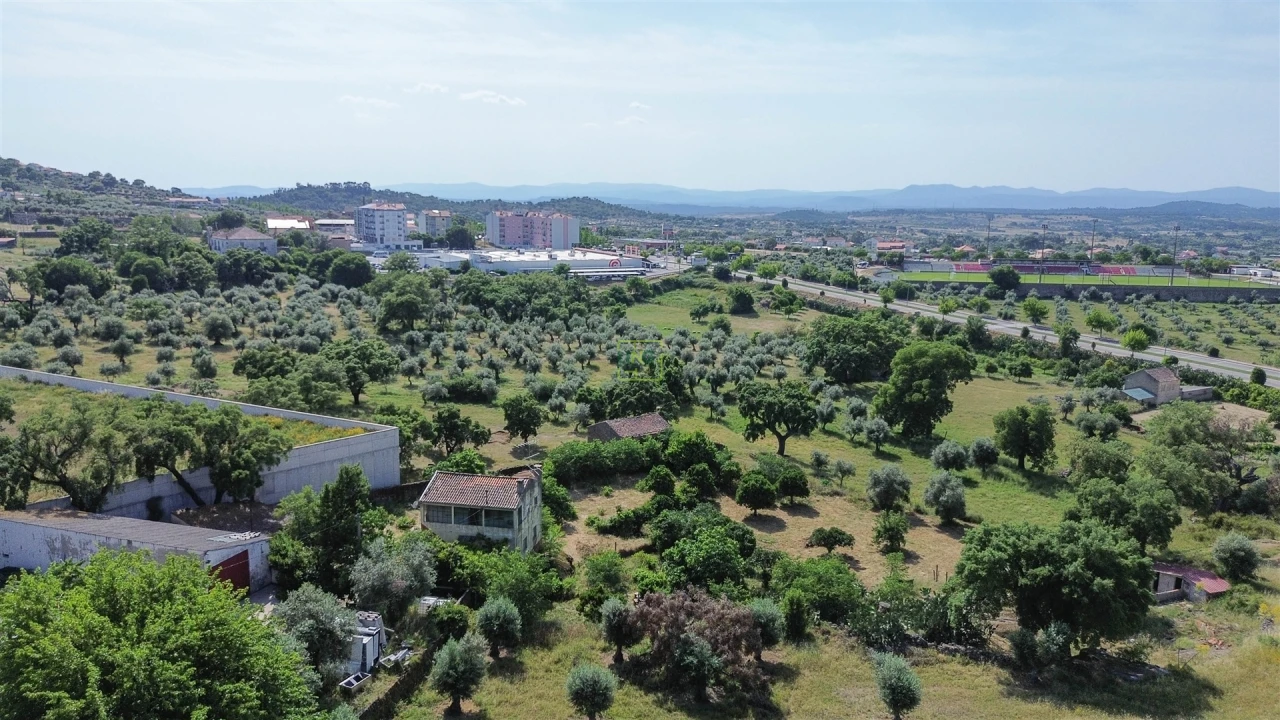 Quinta T3 para Venda em Castelo Branco Foto 10