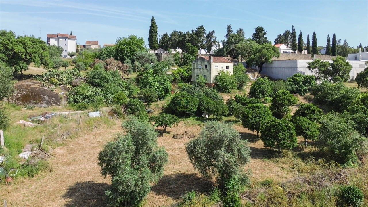 Quinta T3 para Venda em Castelo Branco Foto 1