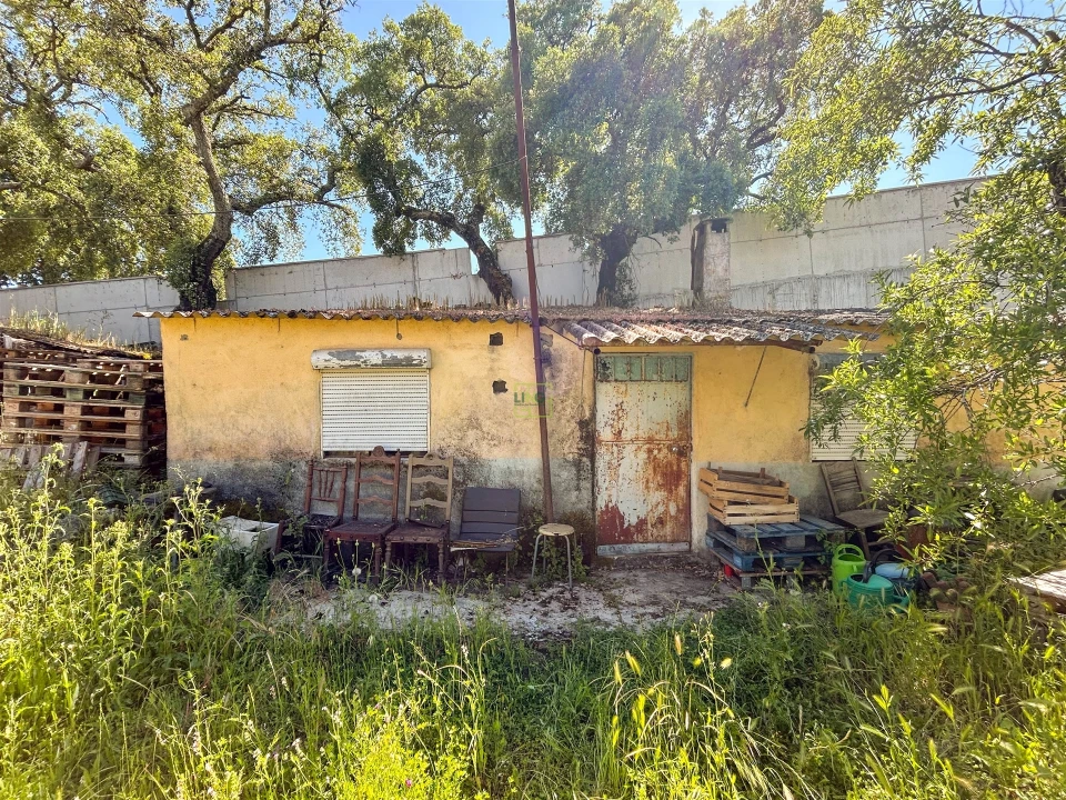 Quinta T3 para Venda em Castelo Branco Foto 72