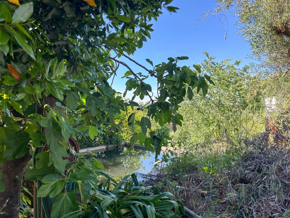Quinta T3 para Venda em Castelo Branco Foto 82