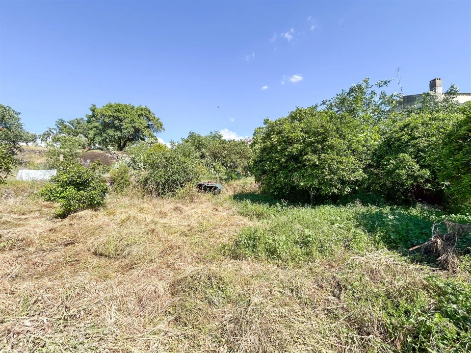 Quinta T3 para Venda em Castelo Branco Foto 61