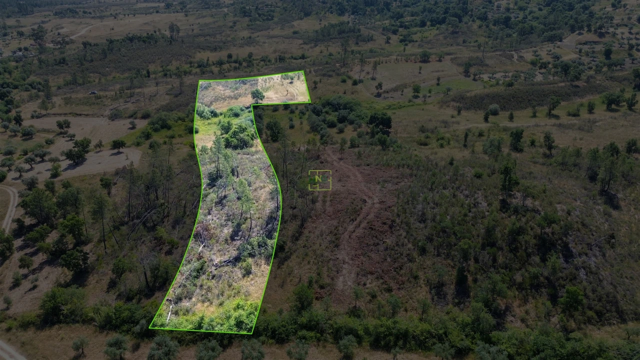 Terreno para Venda em Sarzedas Foto 33