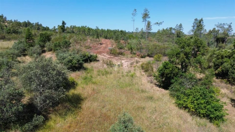 Terreno para Venda em Sarzedas