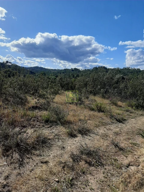 Terreno para Venda em Sarzedas