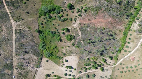 Terreno para Venda em Sarzedas