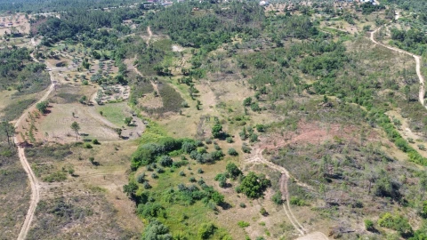 Terreno para Venda em Sarzedas