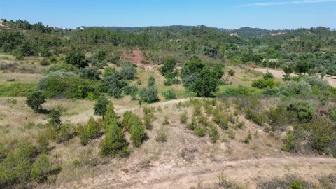 Terreno para Venda em Sarzedas
