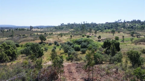 Terreno para Venda em Sarzedas
