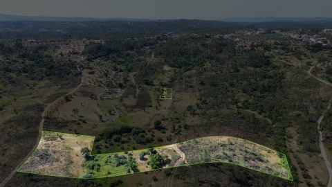 Terreno para Venda em Sarzedas