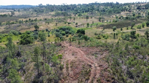 Terreno para Venda em Sarzedas