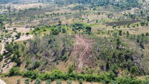 Terreno para Venda em Sarzedas