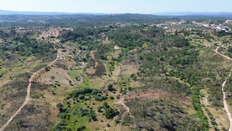 Terreno para Venda em Sarzedas
