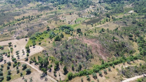 Terreno para Venda em Sarzedas