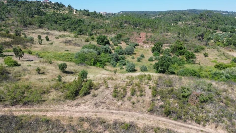 Terreno para Venda em Sarzedas