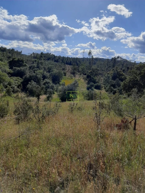 Terreno para Venda em Sarzedas