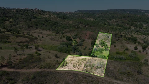 Terreno para Venda em Sarzedas
