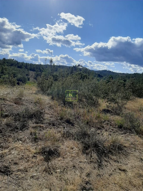 Terreno para Venda em Sarzedas