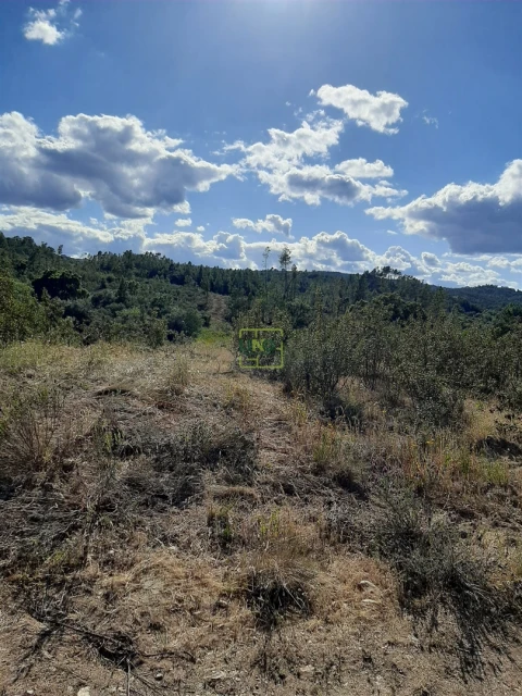 Terreno para Venda em Sarzedas