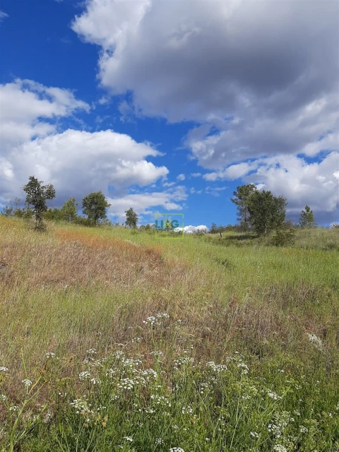 Terreno para Venda em Sarzedas