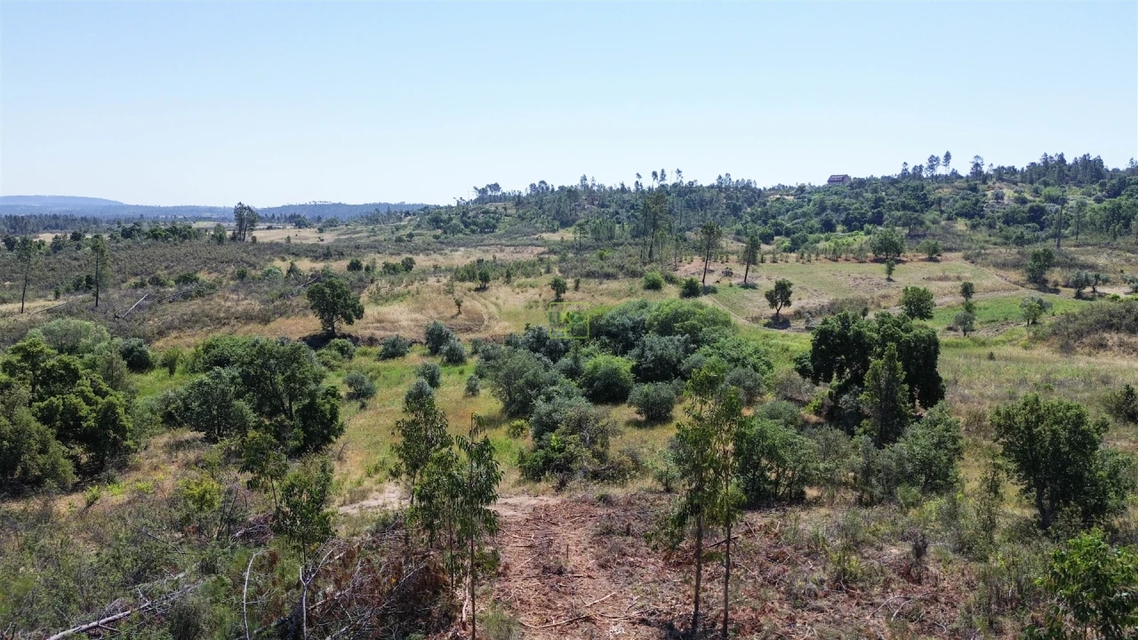 Terreno para Venda em Sarzedas Foto 38