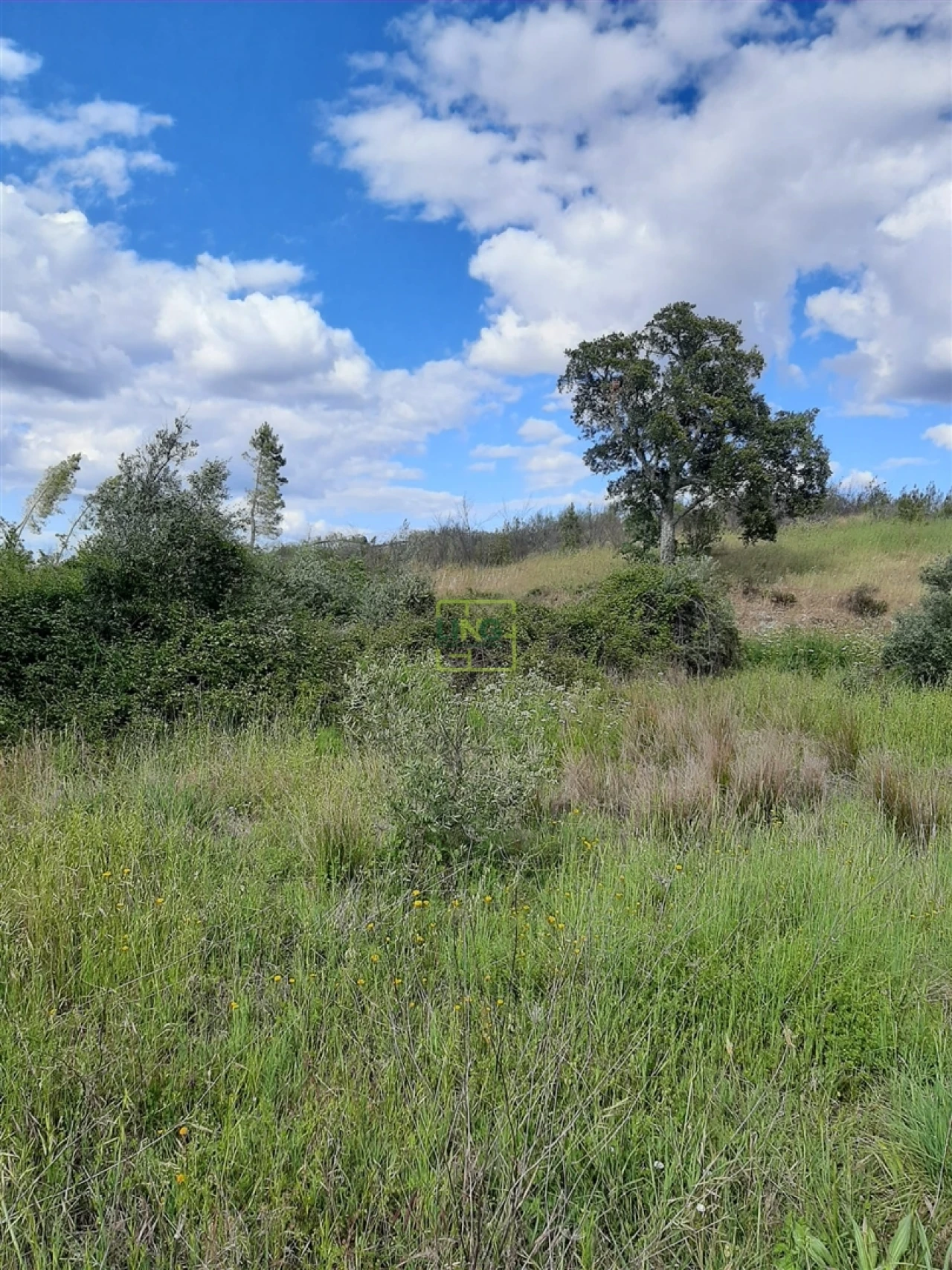 Terreno para Venda em Sarzedas Foto 14
