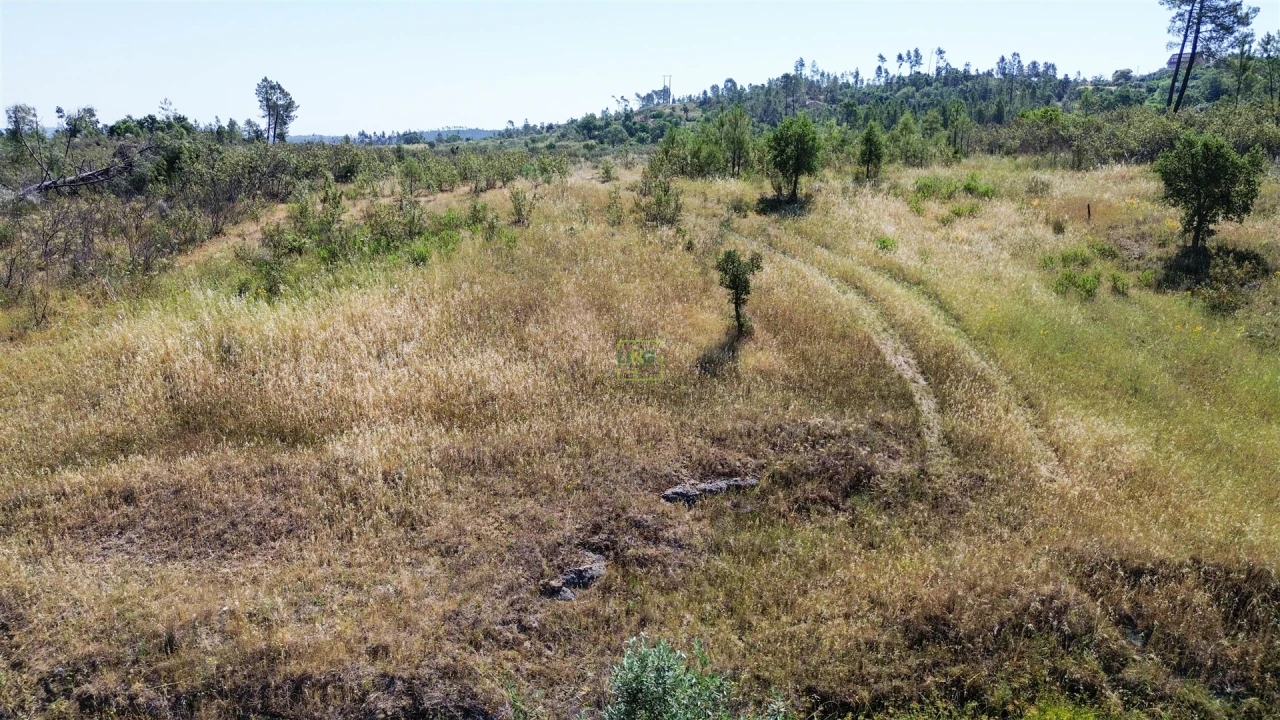 Terreno para Venda em Sarzedas Foto 40