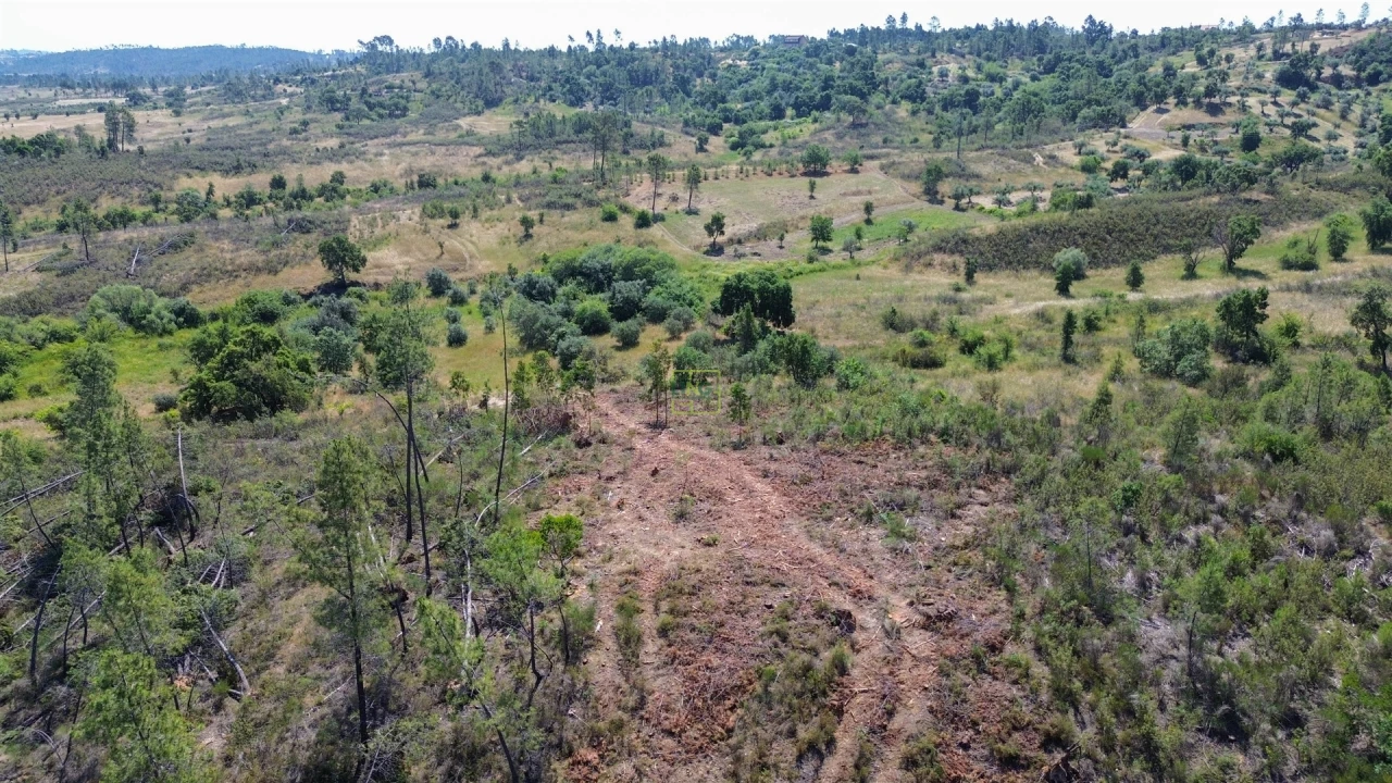 Terreno para Venda em Sarzedas Foto 46