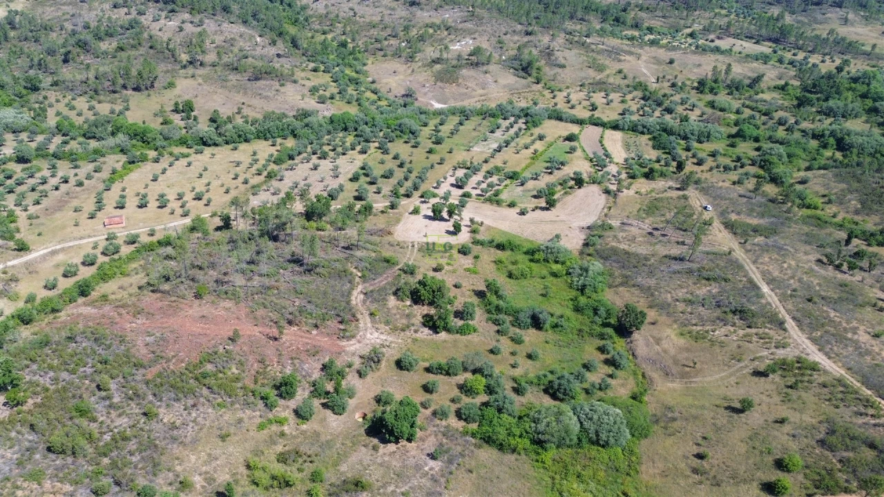 Terreno para Venda em Sarzedas Foto 43