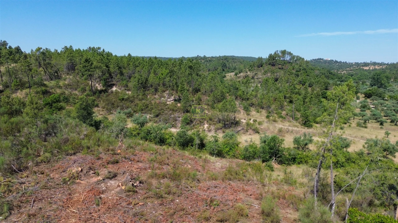 Terreno para Venda em Sarzedas Foto 37