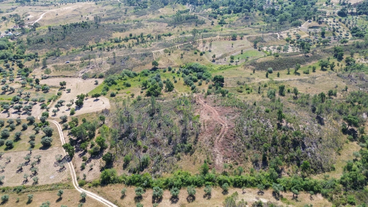 Terreno para Venda em Sarzedas Foto 47
