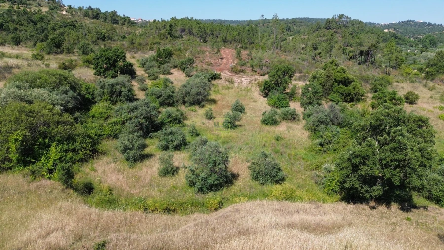 Terreno para Venda em Sarzedas Foto 31