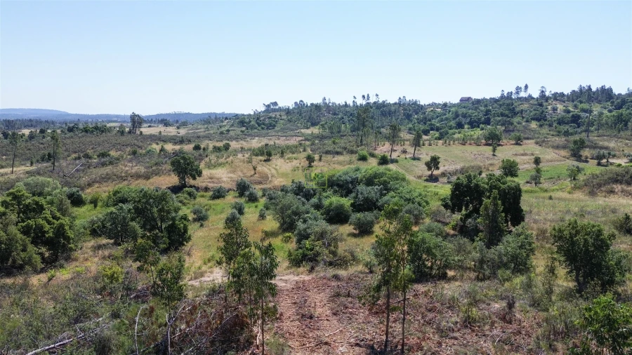 Terreno para Venda em Sarzedas Foto 38
