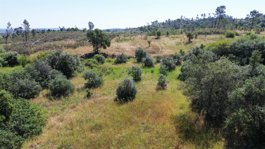 Terreno para Venda em Sarzedas Foto 39