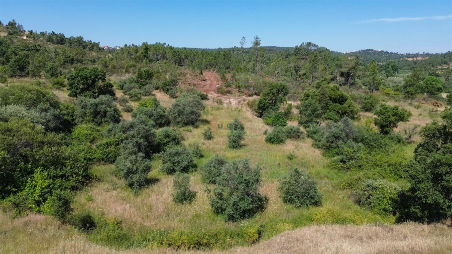 Terreno para Venda em Sarzedas Foto 34