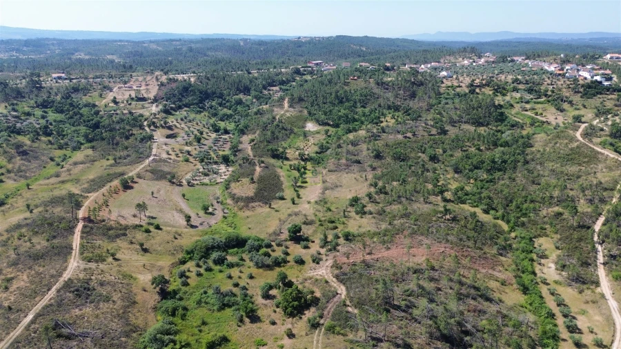 Terreno para Venda em Sarzedas Foto 24