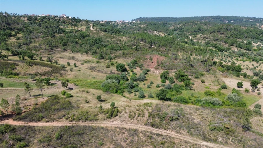 Terreno para Venda em Sarzedas Foto 28