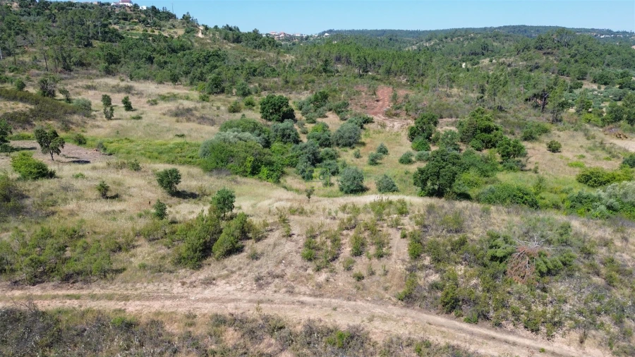 Terreno para Venda em Sarzedas Foto 30
