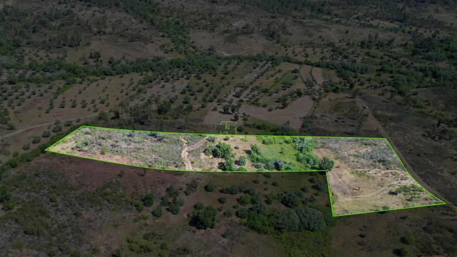 Terreno para Venda em Sarzedas Foto 44