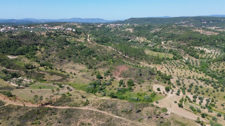Terreno para Venda em Sarzedas Foto 26