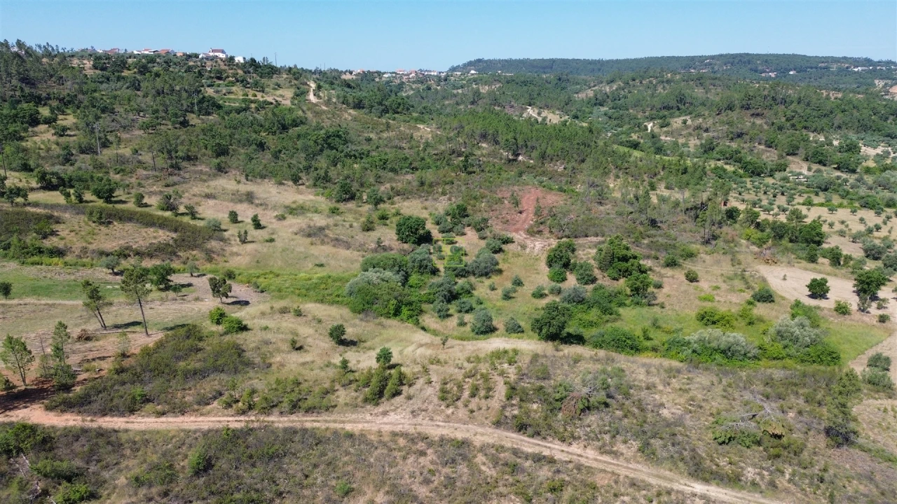 Terreno para Venda em Sarzedas Foto 28