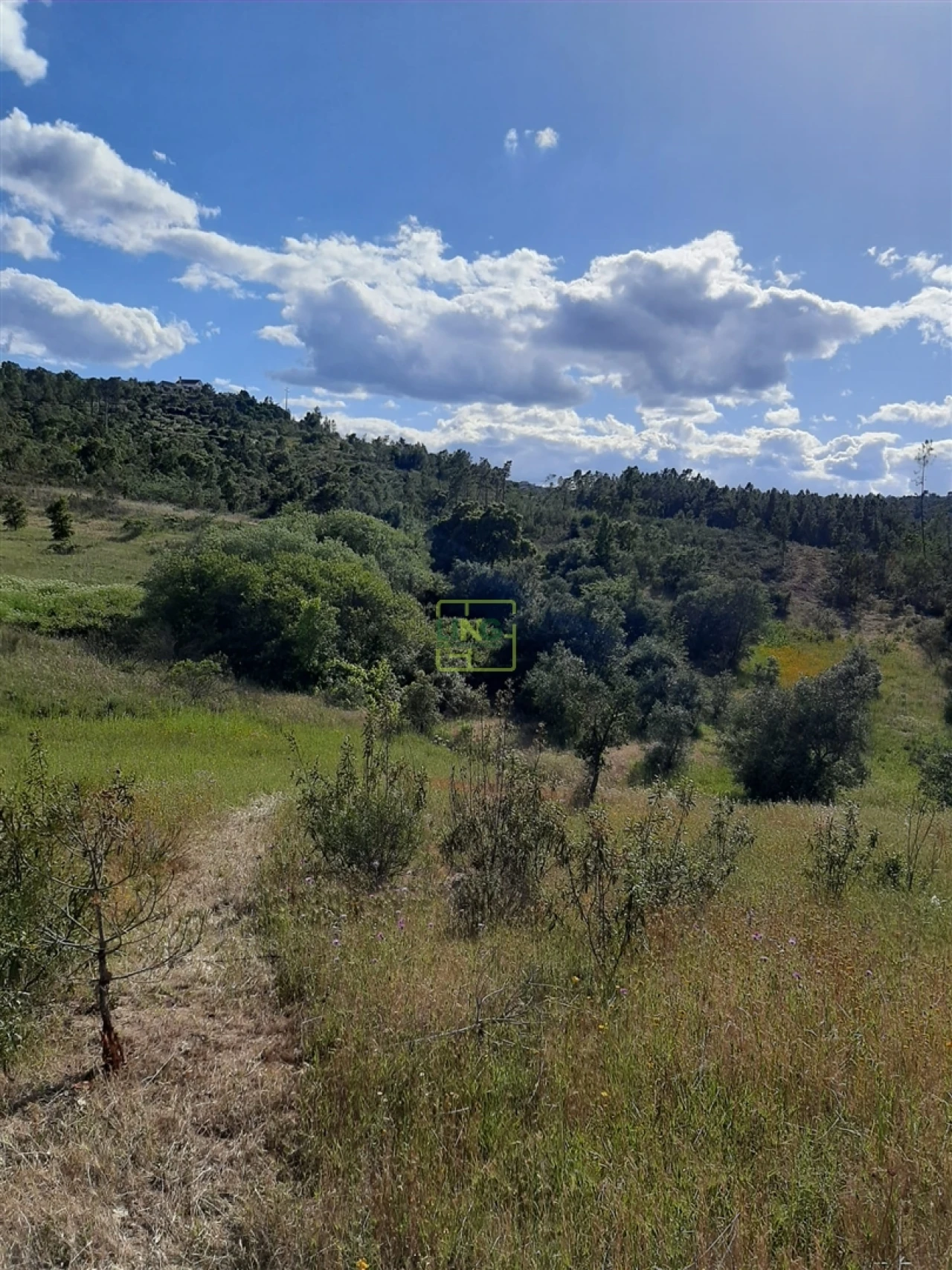 Terreno para Venda em Sarzedas Foto 10