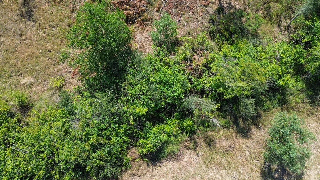Terreno para Venda em Sarzedas Foto 45