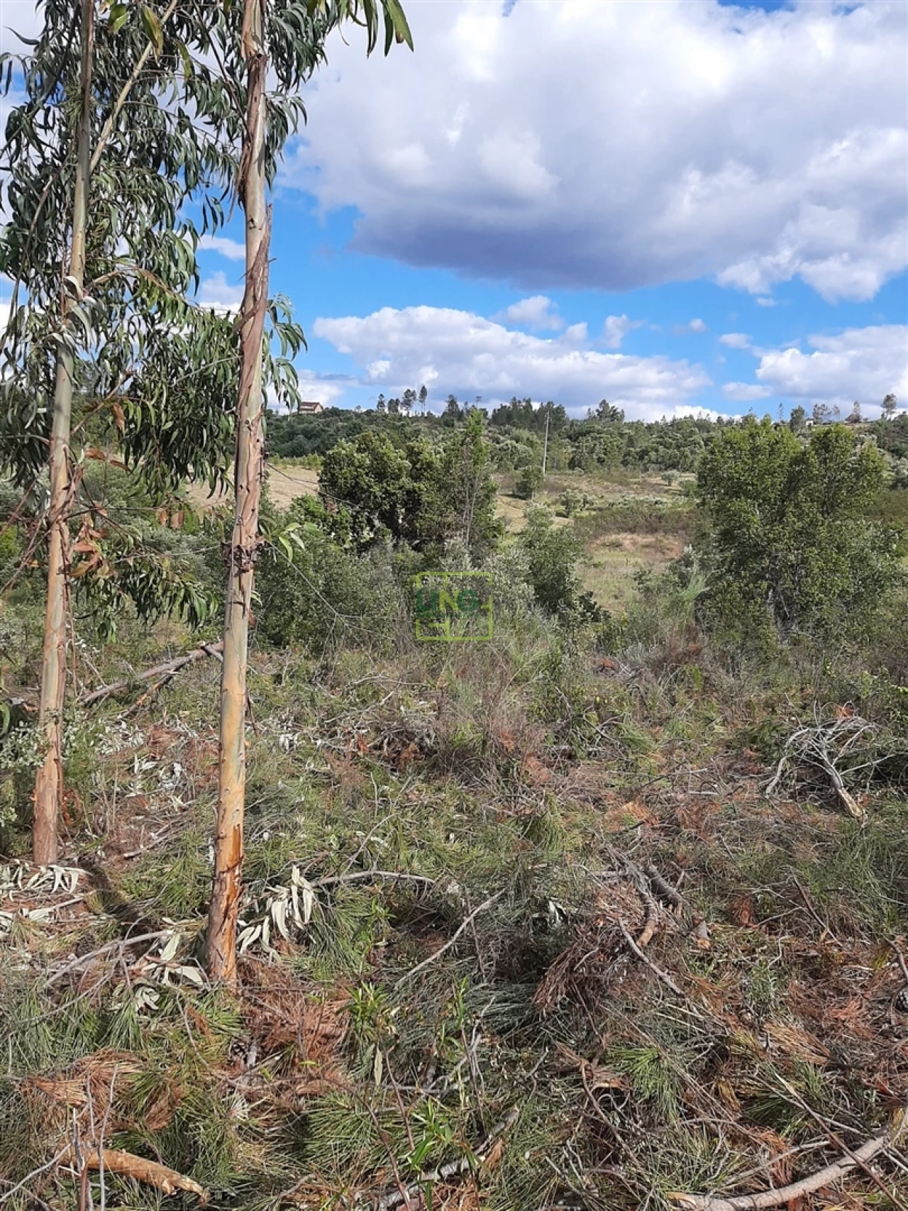 Terreno para Venda em Sarzedas Foto 21