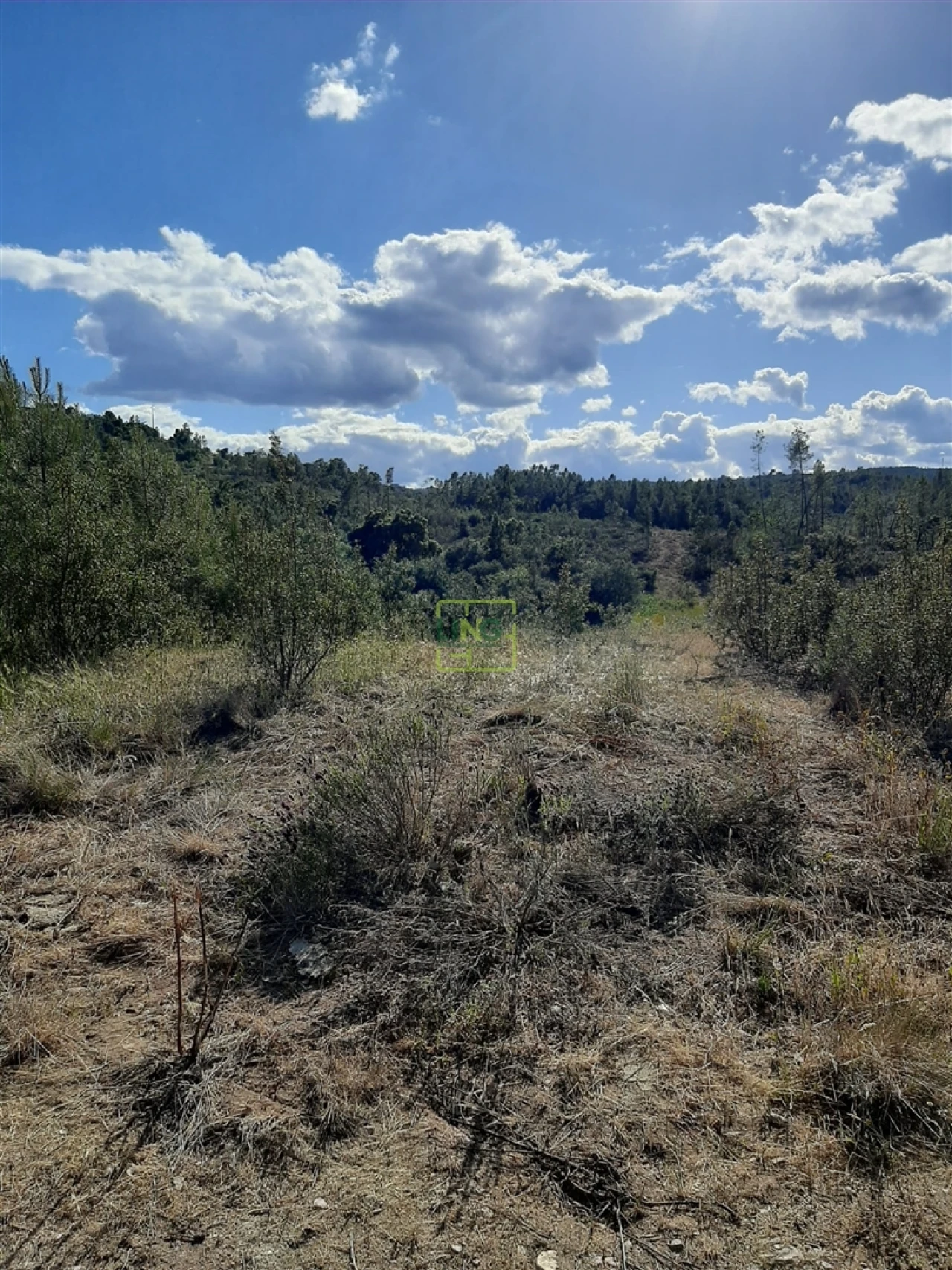 Terreno para Venda em Sarzedas Foto 5