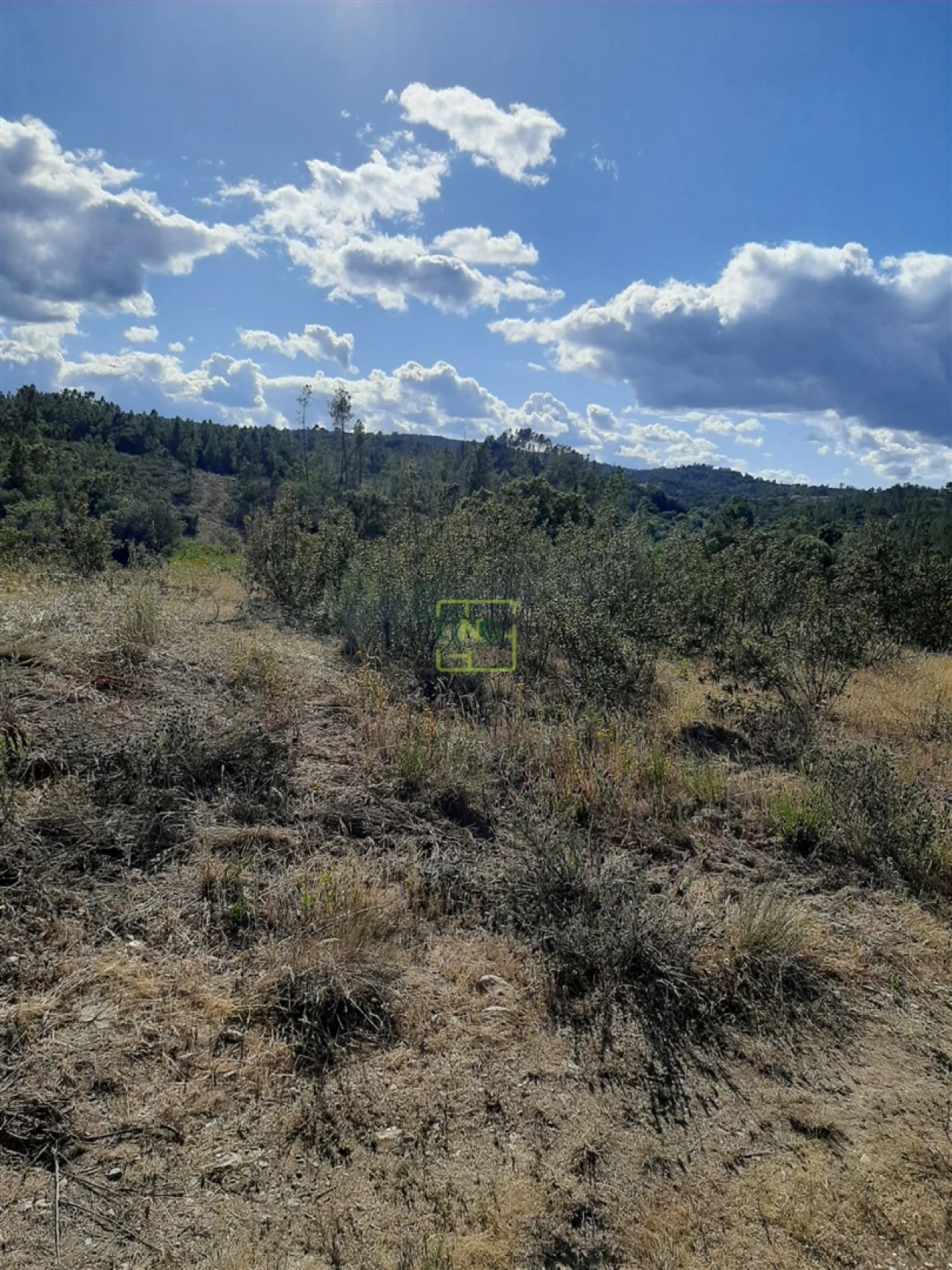 Terreno para Venda em Sarzedas Foto 7