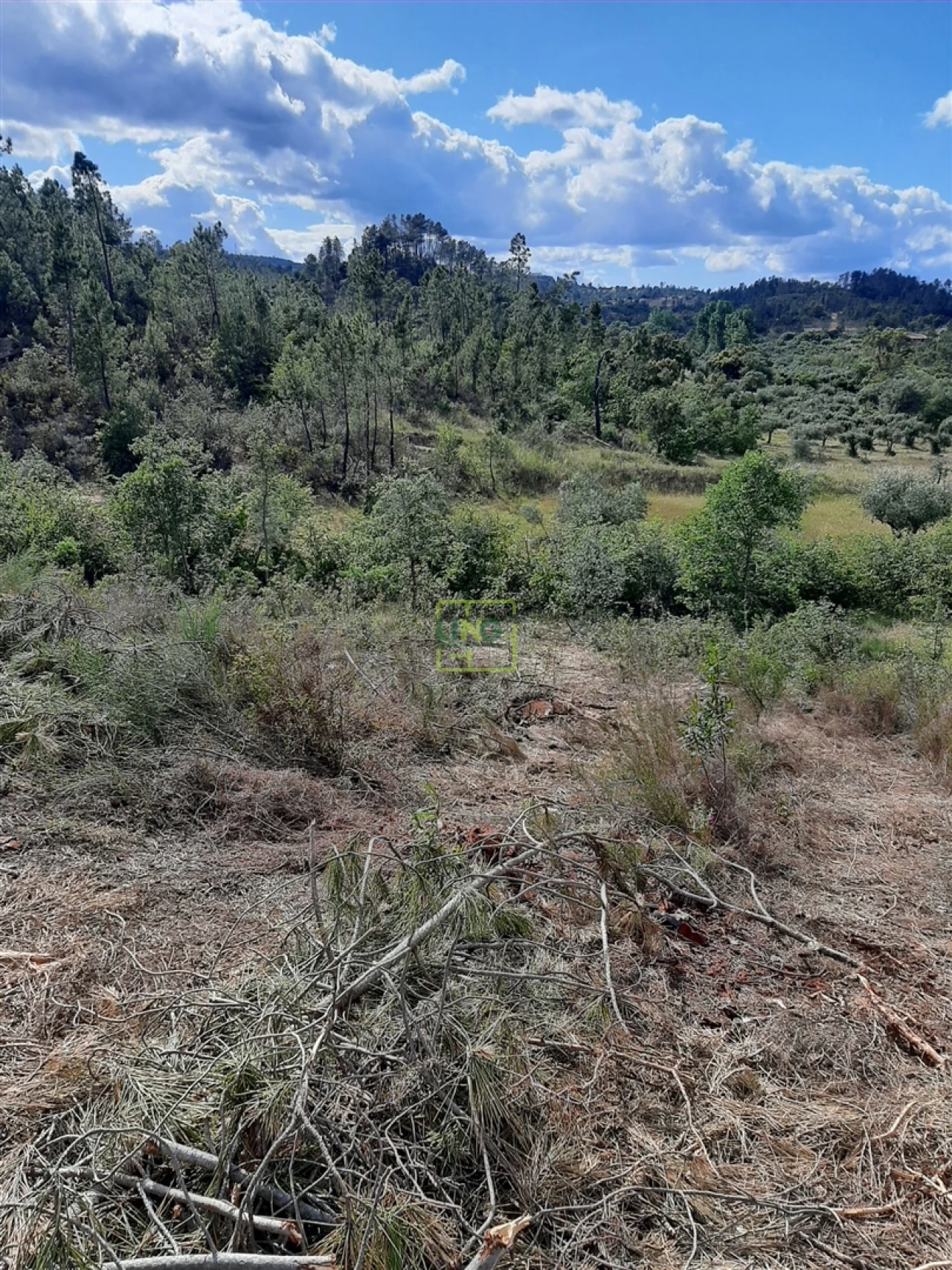 Terreno para Venda em Sarzedas Foto 18