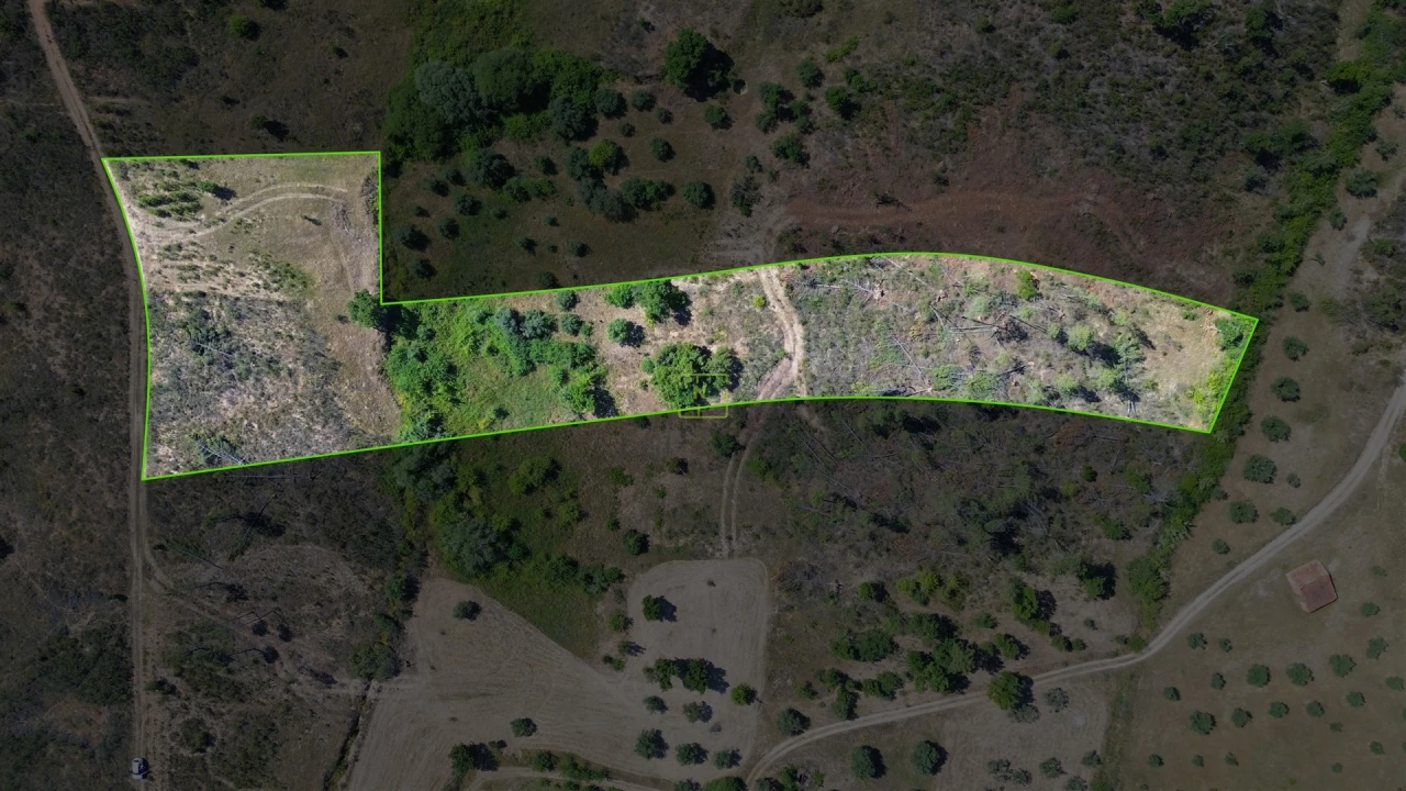 Terreno para Venda em Sarzedas Foto 23