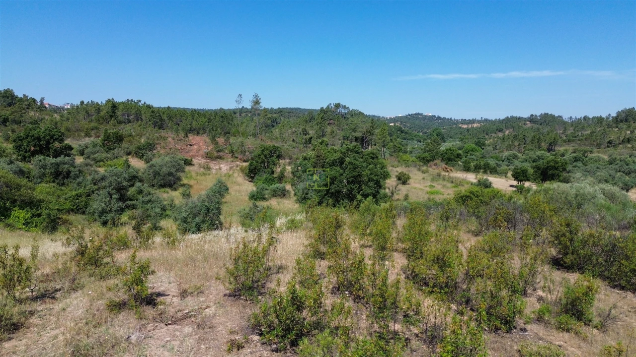 Terreno para Venda em Sarzedas Foto 42