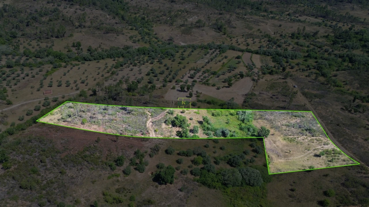 Terreno para Venda em Sarzedas Foto 44